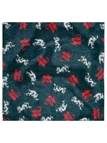 Bandana Dragons