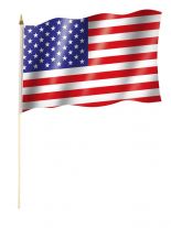 Stockfahne USA