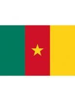 Fahne Kamerun