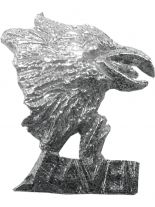 Anstecker Rabenkopf