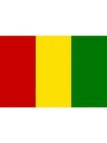 Fahne Guinea