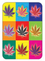3 Aufkleber Hemp