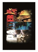 Pantera Poster Fahne Beyond