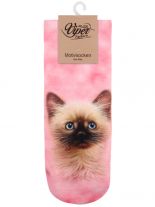 Sneaker Socken bedruckt süßes Kätzchen