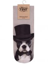 Sneaker Socken bedruckt Gentlemandog