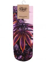 Sneaker Socken bedruckt Hanf rot