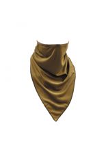 Windschutz Tactical Schal coyote tan