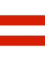 Fahne Österreich