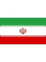 Fahne Iran