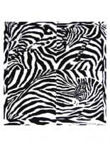 Bandana Zebra