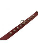 Leder Fesselband rot Spitznieten