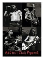 3 Red hot Chili Peppers Postkarten