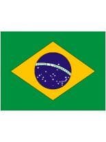 Brasilien Autofahne