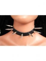 Leder Halsband 3,5 cm und 2,5 cm Nieten