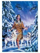David Penfound Posterfahne Wolf Aurora
