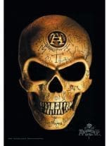Alchemy Posterfahne Omega Skul