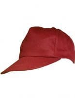 Trucker Cap rot