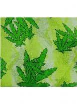 Tuch Cannabis
