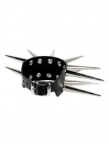 Leder Armband 5,5 cm Conenieten 2 reihig