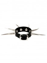 Leder Armband Krummcone Nieten 5 cm