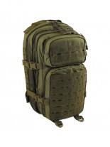 US Molle Rucksack oliv mit Beckengurt